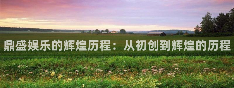 长征平台平台官方入口下载：鼎盛娱乐的辉煌历程：从初创到辉煌的历程