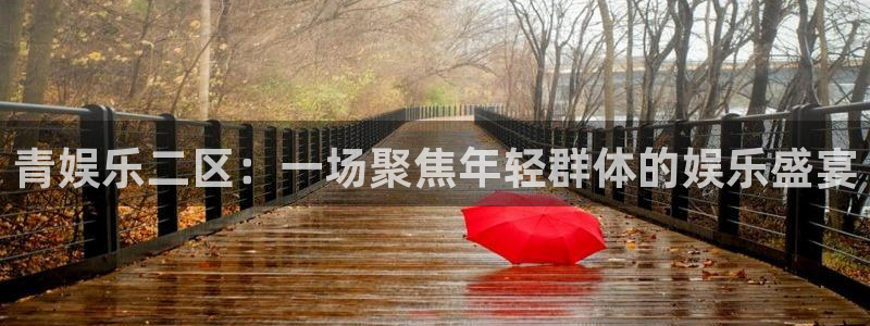长征平台加拿大下载：青娱乐二区：一场聚焦年轻群体的娱乐盛宴