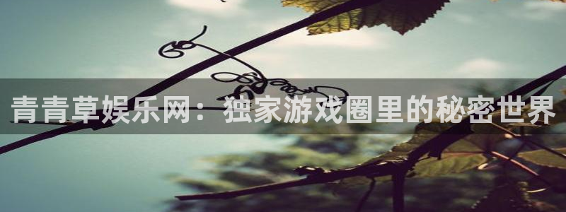 长征平台平台总代理：青青草娱乐网：独家游戏圈里的秘密世界