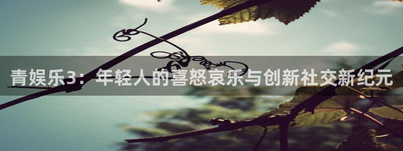 长征平台3登录：青娱乐3：年轻人的喜怒哀乐与创新社交新纪元