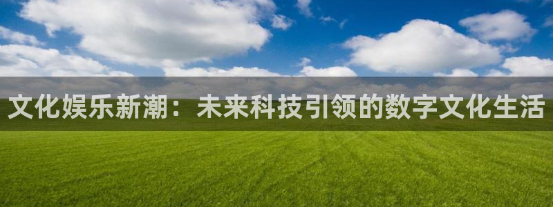长征平台2平台登录：文化娱乐新潮：未来科技引领的数字文化生活