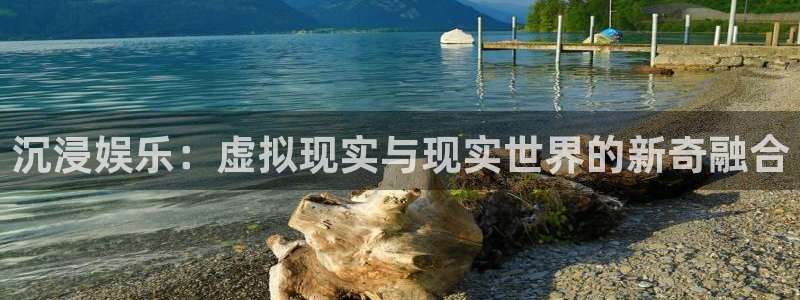 长征平台平台官网入口：沉浸娱乐：虚拟现实与现实世界的新奇融合