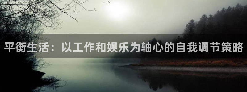 长征平台下载官网入口在哪：平衡生活：以工作和娱乐为轴心的自我调节策略