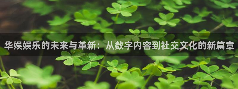 长征平台2登录地址：华娱娱乐的未来与革新：从数字内容到社交文化的新篇章