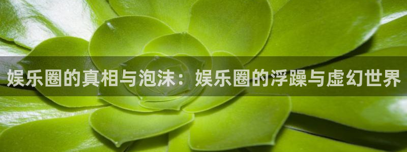 长征平台app注册地址：娱乐圈的真相与泡沫：娱乐圈的浮躁与虚幻世界