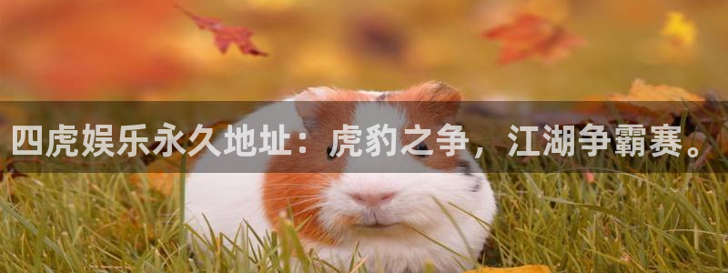 长征平台集团股票：四虎娱乐永久地址：虎豹之争，江湖争霸赛。