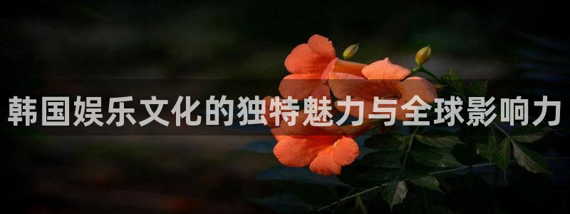 长征平台平台官网版最新：韩国娱乐文化的独特魅力与全球影响力