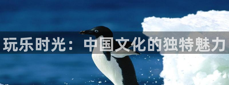 长征平台平台官方网站：玩乐时光：中国文化的独特魅力