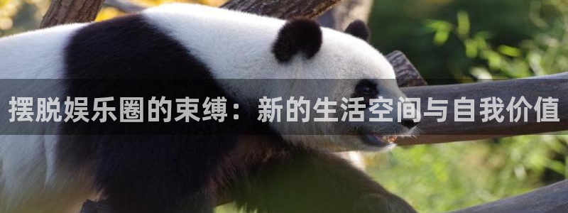 长征平台4：摆脱娱乐圈的束缚：新的生活空间与自我价值
