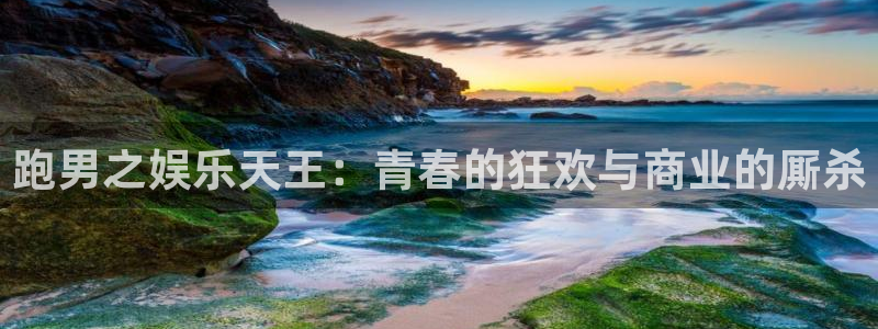 长征平台4登录：跑男之娱乐天王：青春的狂欢与商业的厮杀