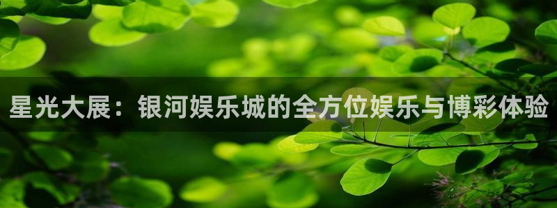 长征平台游app：星光大展：银河娱乐城的全方位娱乐与博彩体验