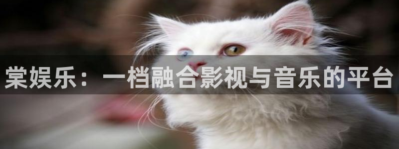 长征平台赏金女王