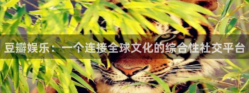 长征平台集团官网：豆瓣娱乐：一个连接全球文化的综合性社交平台