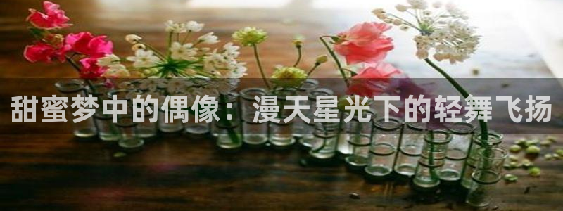 长征平台招商：甜蜜梦中的偶像：漫天星光下的轻舞飞扬
