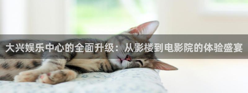 长征平台下载二维码