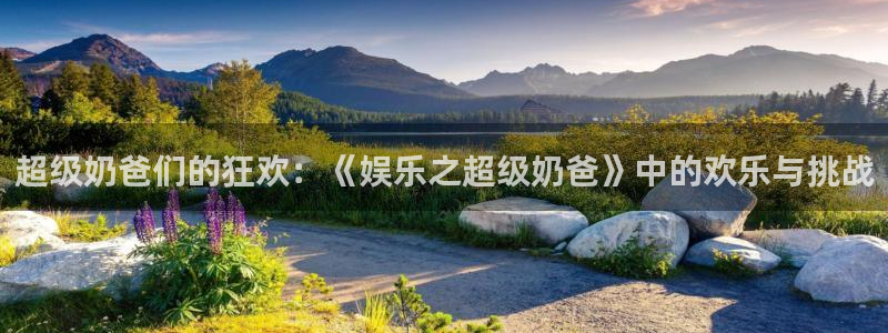 长征平台苹果手机下载链接：超级奶爸们的狂欢：《娱乐之超级奶爸》中的欢乐与挑战