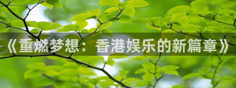 长征平台赏金女王：《重燃梦想：香港娱乐的新篇章》