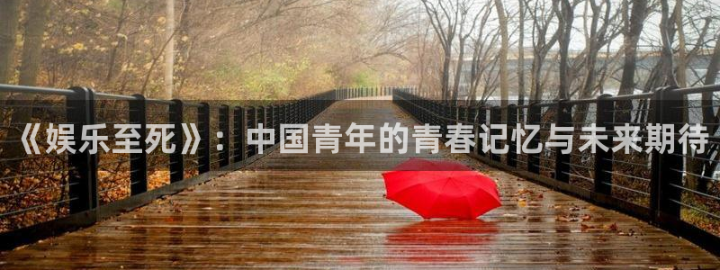 佛山市南海长征平台机电仪器有限公司：《娱乐至死》：中国青年的青春记忆与未来期待