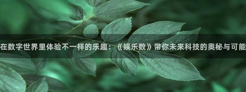 长征平台凯捷平台：在数字世界里体验不一样的乐趣：《娱乐数》带你未来科技的奥秘与可